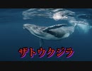 ザトウクジラとの20分間の会話に成功すれば、地球外生命体とコンタクトが取れるかもしれない