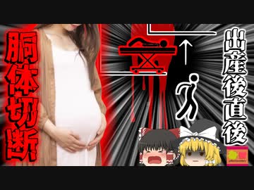 【2017年】出産直後に胴体が真っ二つになった母…大病院の杜撰なエレベーター管理によって起きた悲劇 『エレベーター産婦挟まれ事故』【ゆっくり解説】