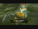 ゼルダの伝説　ブレス オブ ザ ワイルド　実況プレイPart138