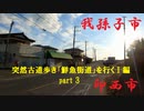 【散歩】千葉県我孫子市布佐酉町-印西市発作を歩く【突然古道歩き「鮮魚街道」を行くⅠ編 part 3】