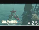 ルッタ内部に潜入！【ゼルダの伝説ブレスオブザワイルド】#25