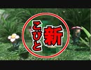 【激レア？】こびとの“共生関係”を発見。その関係に名を与えるなら「893」【こびとづかん こびとの不思議 実験セット】part6