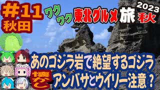 [切ない表情のゴジラ岩]8泊9日秋のワクワク東北グルメ旅2023[挙動不審の旅] #11