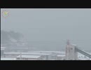 2023.12.27 (48倍速)ﾆｺ生TSDL