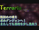 【Terraria】新しい光源ペットを求め再びダンジョンへ"30