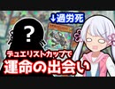 DCでまさかの相手と遭遇する音響咎姫つくよみちゃん ◆17 (DC2023 DEC)【遊戯王マスターデュエル】