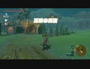 ゼルダの伝説　ブレス オブ ザ ワイルド　実況プレイPart139