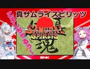 四国めたんと春日部つむぎが気になるゲームをプレイしてみる04