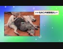 【2ch動物スレ】引っ込み思案のネコとネコ想いの犬たちの家族写真www
