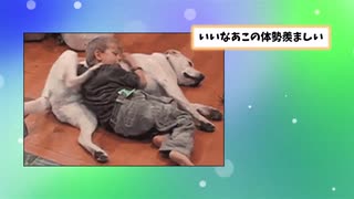 【2ch動物スレ】引っ込み思案のネコとネコ想いの犬たちの家族写真www