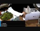 【七原くん★2023/12/25】第4回 賢い奴は今！半額ケーキを狙いにいく。【クリスマスケーキ探し/外配信/RTA】