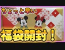 【2024ディズニー福袋】3500円の福袋を買ったので、開封の様子をリアルにお届け！