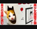 美少女お利口保護子猫、最大の試練に挑む