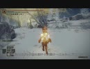 エルデンリング TMCターニッシュドメイクライ侵入part128