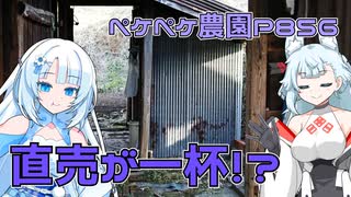 2023年12月27日　農作業日誌P856　今年ラストの直売所出荷！