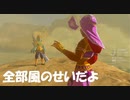 #72【ゼルダの伝説 ブレス オブ ザ ワイルド】ゲルドの街に潜入する方法！