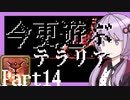 【Terraria】今更遊ぶテラリア Calamity mod [Part.14]