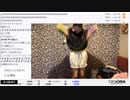 【実験機能の左右反転を使用】【ゆのんちゃん】「【公式歌枠魔界まであと②日魔界】擬似家族魔界とゆのんちゃん！」　④【2023/12/28】
