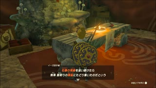 【ゼルダの伝説 ティアーズ オブ ザ キングダム】再びハイラルを救うまで【実況】 part191