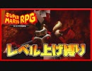 レベル上げ禁止でスーパーマリオRPG ヤリドヴィッヒ編