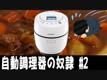 2023/12/28 #2 占いで選んだ料理を作る【自動調理器の奴隷】