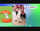 【2ch動物スレ】サザエさんのリアルたま発見されるwwwwwww
