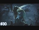 【MHRise】モンスターハンターライズ 実況プレイ part30