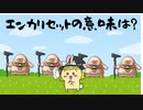 ＤＱ３エンカリセットの意味は？