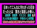 23・12・28夜　どこもかしこも　汚れきった日本！これを綺麗にするのは　日本人だ。