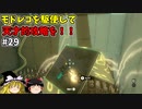 【ゆっくり実況】5度目のゼルダ！ 初めてのティアーズオブザキングダム！ part29 【ティアーズオブザキングダム】