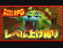 レベル上げ禁止でスーパーマリオRPG ベロ～ム2戦目編