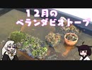 １２月のベランダビオトープ