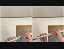 My Favorite Things. Flute Duet