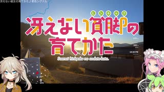 【自転車車載】紅葉雲海とあくたん？【VOICEVOX】