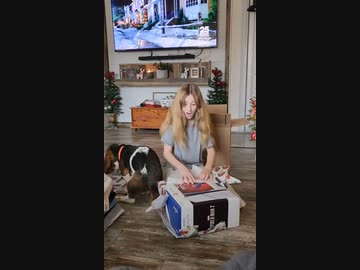 ホモと見る絶頂から一気に転落する女の子