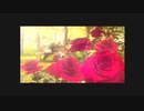 RULE of ROSE　実況プレイpart1