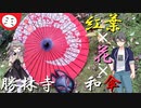 【VoiceVox】✾花手水の花の色❁～紅葉と花と和傘の共演　（東福寺の旅 Part2）