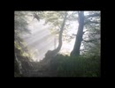 はるかなる故郷【ＦＦⅤ】