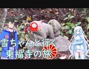 【VOICEVOX】雪ちゃんと行く東福寺　霊源院（東福寺の旅 Part3）【旅行】
