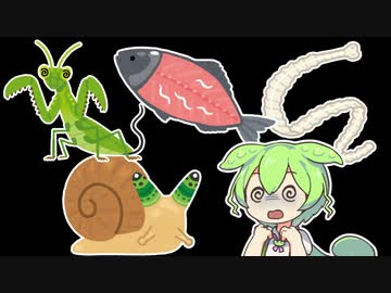 寄生虫を身体の中で育ててみる【寄生虫自己実験】ずんだもん