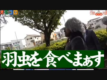 羽虫