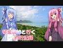 琴葉姉妹と行く釣行記録（海釣り編part34 5/6）