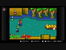 【マリオ＆ルイージRPG】　あかいヒゲとみどりのヒゲ　part8【初見実況】