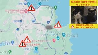 静岡県伊東市で毒餌と紐による猫殺傷猟奇虐待事件続発