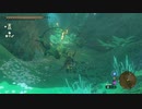 【Switch】リンクがゾナウとゼルダ探し旅【プレイ動画】part116