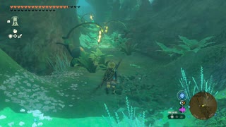 【Switch】リンクがゾナウとゼルダ探し旅【プレイ動画】part116