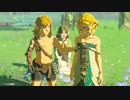 【ティアキン】依頼を受けて、オコバの花壇を荒らしてみた【ドリカラ】【ボイスピ実況,ゼルダの伝説,ティアーズオブザキングダム,TotK】