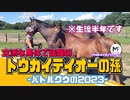【メイタイファーム】話題の馬体!!カカラちゃんの妹バトルクウの2023
