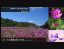 しげっち交通観光局#0086 トリシティ155で行く「慈眼寺公園@鹿児島市」/2023.10.25