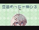 【刀剣CoC】伯仲で「豆苗めっちゃ伸びる」